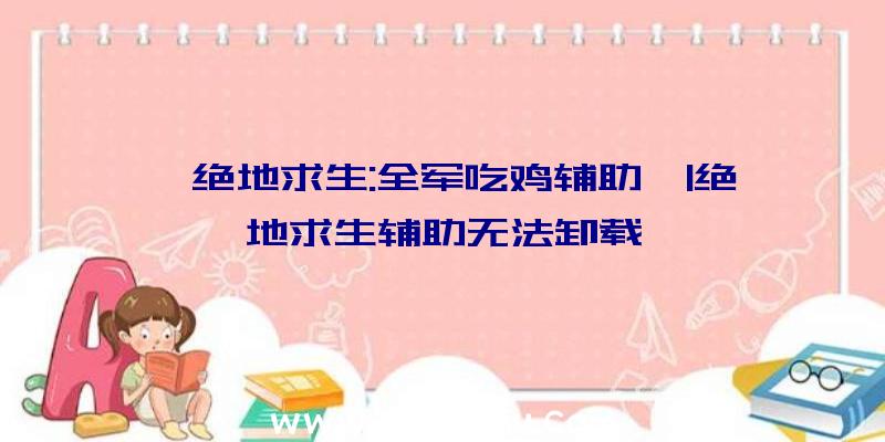 「绝地求生:全军吃鸡辅助」|绝地求生辅助无法卸载